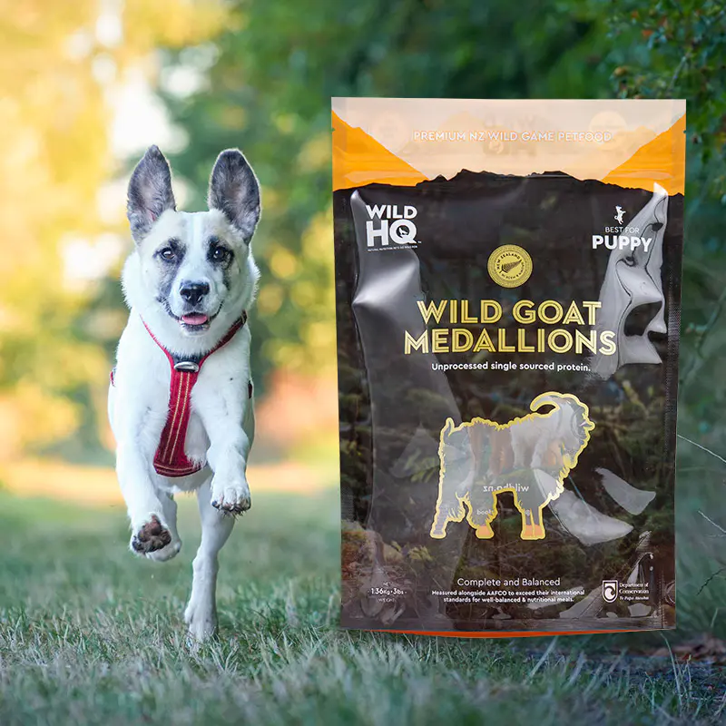 Värikäs ympäristöystävällinen digitaalinen painatus matala pussillinen kahvipussi